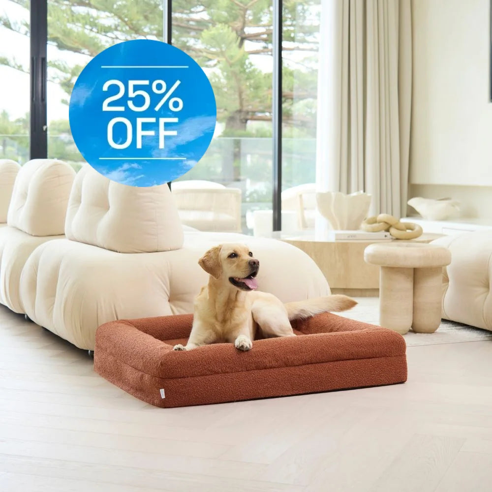 Memory Foam Dog Bed - Boucle Terracotta Bouclé