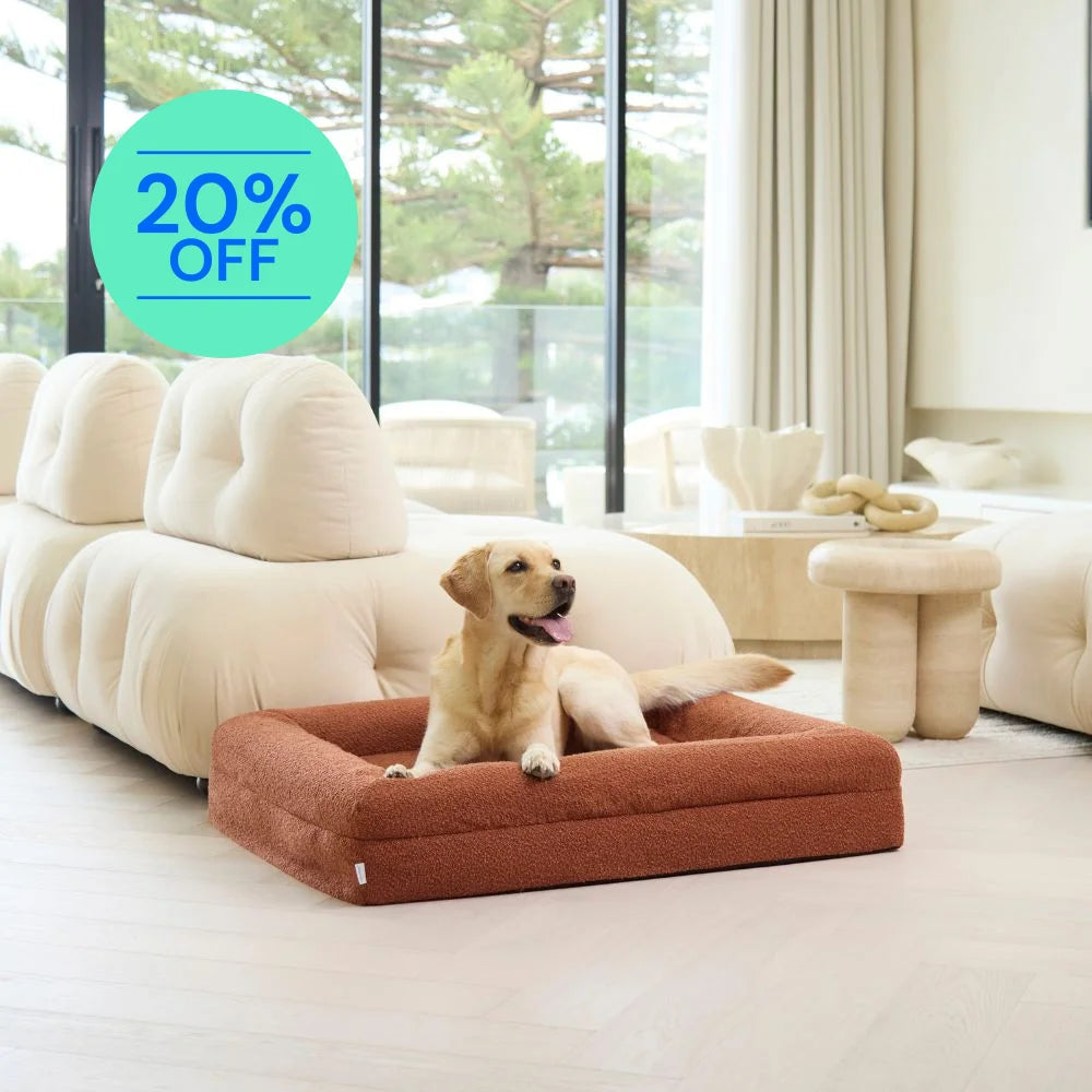 Memory Foam Dog Bed - Boucle Terracotta Bouclé