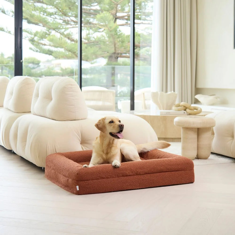 Memory Foam Dog Bed - Boucle Terracotta Bouclé