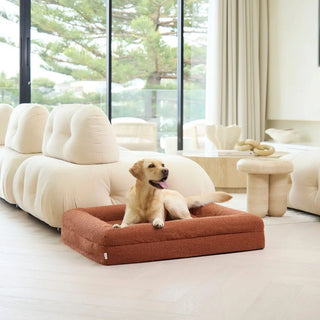 Memory Foam Dog Bed - Boucle Terracotta Bouclé