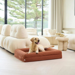 Memory Foam Dog Bed - Boucle Terracotta Bouclé