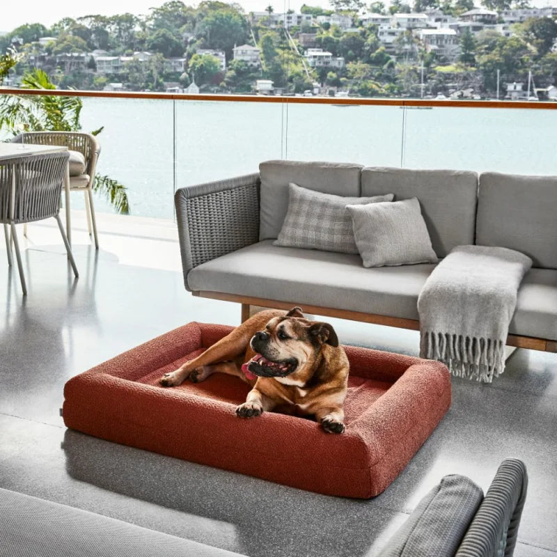 Memory Foam Dog Bed - Boucle Terracotta Bouclé