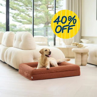 Memory Foam Dog Bed - Boucle Terracotta Bouclé
