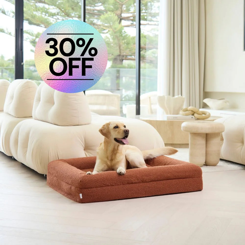 Memory Foam Dog Bed - Boucle Terracotta Bouclé