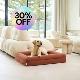 Memory Foam Dog Bed - Boucle Terracotta Bouclé