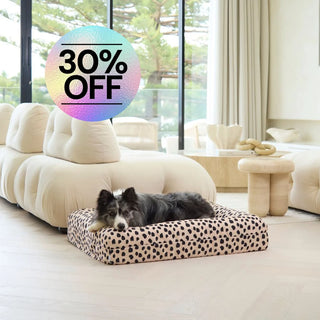 Memory Foam Dog Bed Canvas Black Sands Canvas