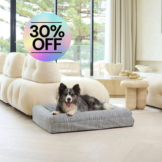 Memory Foam Dog Bed Canvas Navy Lines Canvas