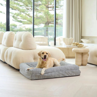 Memory Foam Dog Bed Canvas Navy Lines Canvas