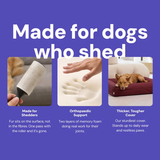Memory Foam Dog Bed - Canvas Sand - Canvas