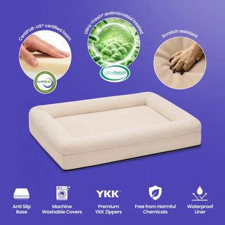 Memory Foam Dog Bed - Canvas Sand - Canvas
