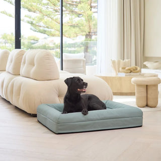 Memory Foam Dog Bed Canvas Seafoam Canvas