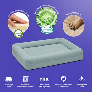 Memory Foam Dog Bed - Canvas Seafoam - Canvas