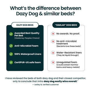 Memory Foam Dog Bed - Canvas Seafoam Canvas