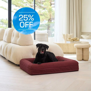 Memory Foam Dog Bed Canvas Spiced Apple Canvas