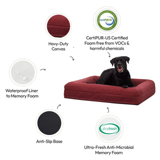 Memory Foam Dog Bed Canvas Spiced Apple Canvas