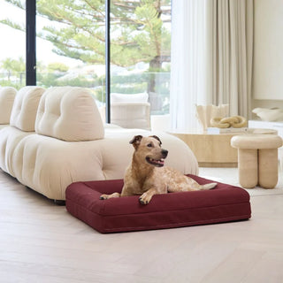 Memory Foam Dog Bed Canvas Spiced Apple Canvas