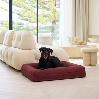 Memory Foam Dog Bed Canvas Spiced Apple Canvas