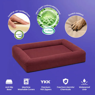 Memory Foam Dog Bed - Canvas Spiced Apple - Canvas