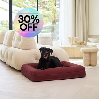 Memory Foam Dog Bed Canvas Spiced Apple Canvas