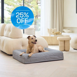 Memory Foam Dog Bed Canvas Sterling Canvas