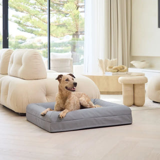Memory Foam Dog Bed Canvas Sterling Canvas