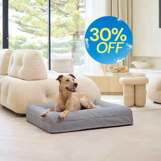 Memory Foam Dog Bed Canvas Sterling Canvas
