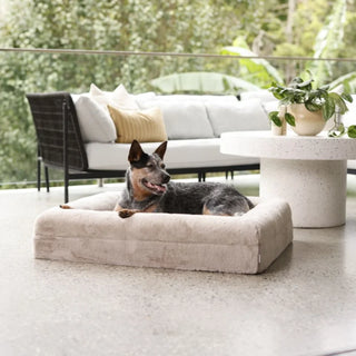 Memory Foam Dog Bed Faux Fur Pearl
