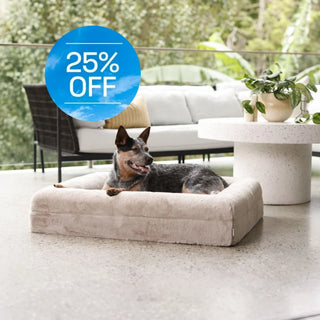 Memory Foam Dog Bed Faux Fur Pearl