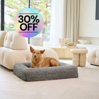 Memory Foam Dog Bed Noodle Charcoal Grey Noodle