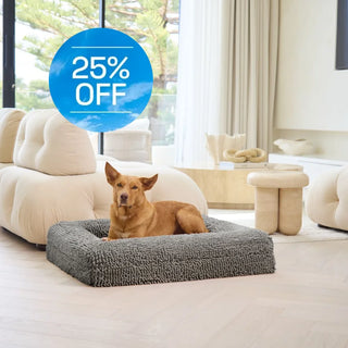 Memory Foam Dog Bed Noodle Charcoal Grey Noodle