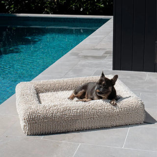 Memory Foam Dog Bed Noodle Ivory Noodle