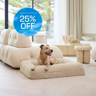 Memory Foam Dog Bed Noodle Ivory Noodle