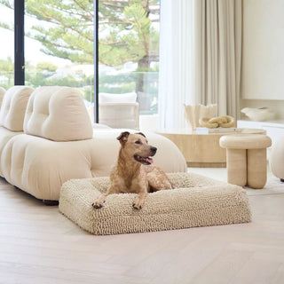 Memory Foam Dog Bed Noodle Ivory Noodle