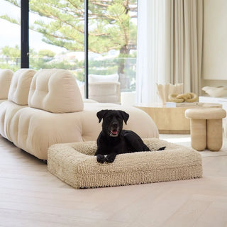 Memory Foam Dog Bed Noodle Ivory Noodle