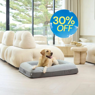 Memory Foam Dog Bed Plush Grey Plush