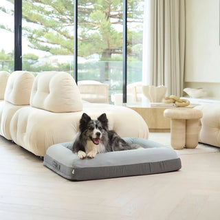 Memory Foam Dog Bed Plush Grey Plush