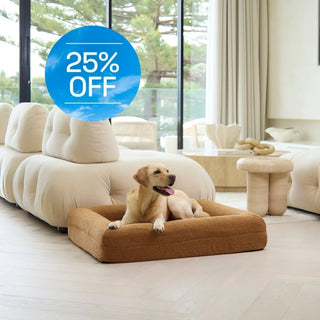 Memory Foam Dog Bed - Polar Fleece Golden Brown Polar Fleece