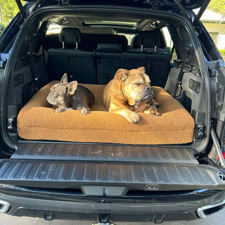 Memory Foam Dog Bed - Polar Fleece Golden Brown Polar Fleece