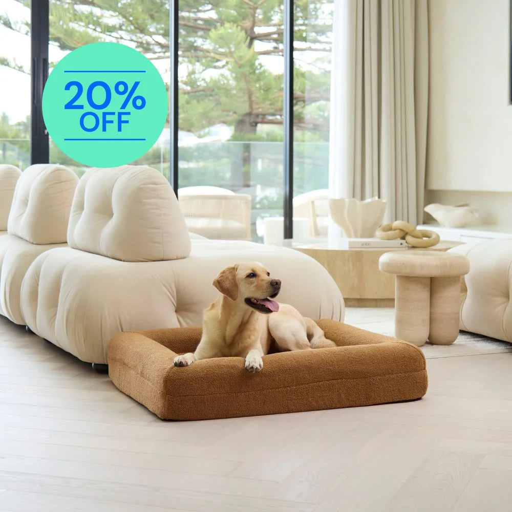 Memory Foam Dog Bed - Polar Fleece Golden Brown Polar Fleece
