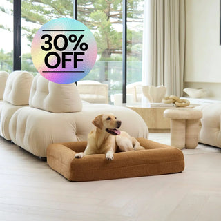 Memory Foam Dog Bed - Polar Fleece Golden Brown Polar Fleece