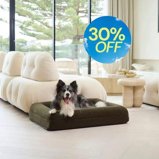 Memory Foam Dog Bed - Polar Fleece Olive Polar Fleece