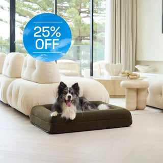 Memory Foam Dog Bed - Polar Fleece Olive Polar Fleece