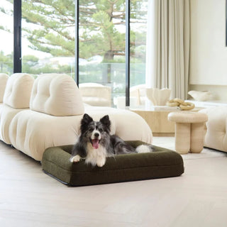 Memory Foam Dog Bed - Polar Fleece Olive Polar Fleece