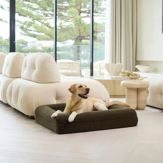 Memory Foam Dog Bed - Polar Fleece Olive Polar Fleece