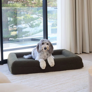 Memory Foam Dog Bed - Polar Fleece Olive Polar Fleece