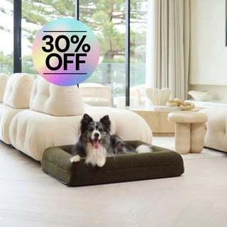 Memory Foam Dog Bed - Polar Fleece Olive Polar Fleece