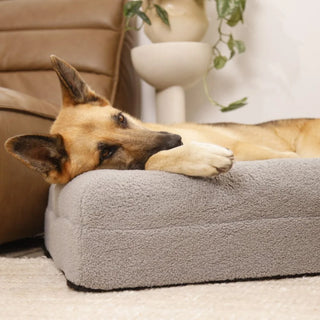 Memory Foam Dog Bed - Polar Fleece Salt Grey Polar Fleece