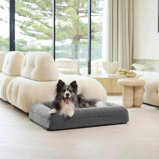 Memory Foam Dog Bed - Polar Fleece Salt Grey Polar Fleece