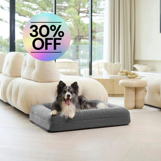 Memory Foam Dog Bed - Polar Fleece Salt Grey Polar Fleece