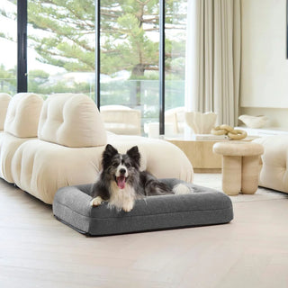 Memory Foam Dog Bed - Polar Fleece Salt Grey Polar Fleece